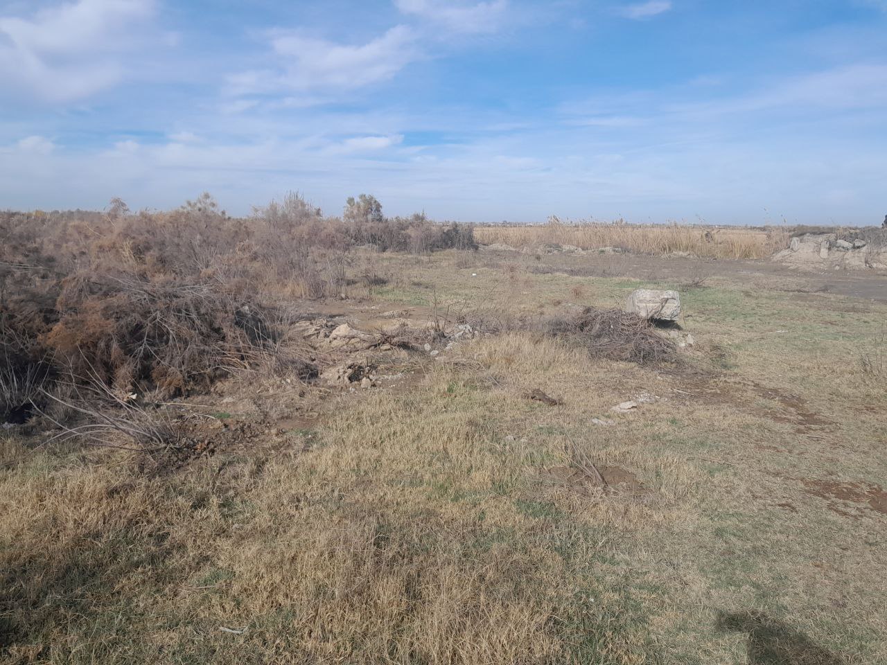 Ниссан универсал 2002. Грабли роторные навесные 450. Hyundai elantra 2008 1. Митсубиси лансер серый гос номер т 796 36 регион. Разболтовка хендай элантра 2008 1.